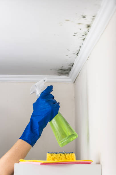 Water Damage Restoration in Prophetstown, IL